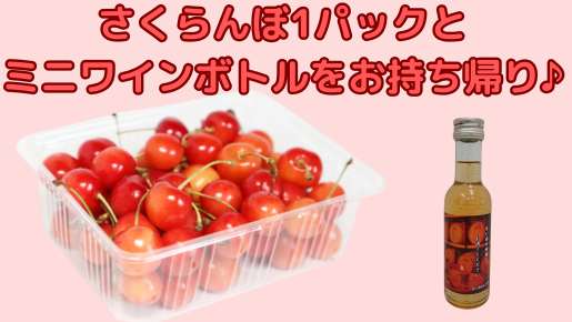 <Web割対象商品>【キングツアーバス旅】どっさどっさ㏌フルーツ王国山梨~さくらんぼ&バラ・野菜&ミニクロワッサンW詰め放題~〔新宿・吉祥寺発〕1